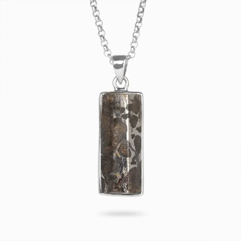 Pallasite Meteorite Necklace