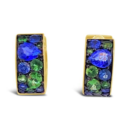 Blue Sapphire & Tsavorite Earrings