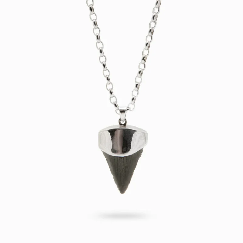 Megalodon Tooth Necklace